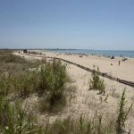 Lagos ajusta VIVER O VERÃO ao plano de contingência