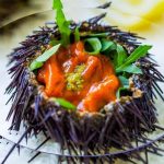 Investigadores desenvolvem projeto de Caviar Português