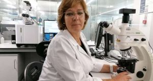 Como prevenir a diarreia durante as viagens