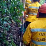 O Municipio de Alcoutim apoia a Associação Cumeadas - Associação de Proprietários Florestais das Cumeadas do Baixo Guadiana, com uma comparticipação financeira para o desenvolvimento de ações de prevenção e proteção de fogos florestais.
