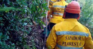 O Municipio de Alcoutim apoia a Associação Cumeadas - Associação de Proprietários Florestais das Cumeadas do Baixo Guadiana, com uma comparticipação financeira para o desenvolvimento de ações de prevenção e proteção de fogos florestais.