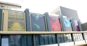 Ciclo Novas Vozes do Fado no Cineteatro D. João V