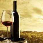 Vinhos de Palmela em destaque no “Viagens de Baco”