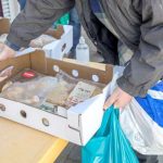 Palmela distribui o Cabaz Solidário Saudável