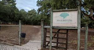 Aprovada a Pista Check-Up de Quinta do Anjo