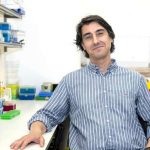 UC desenvolveu Nanopartícula de Combate ao Cancro