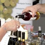 Palmela apoia a Mostra de Vinhos em Fernando Pó