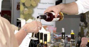 Palmela apoia a Mostra de Vinhos em Fernando Pó