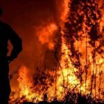 Até Março arderam 5.477 hectares nos 1200 incêndios