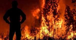 Até Março arderam 5.477 hectares nos 1200 incêndios