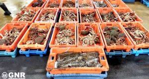 GNR apreende pescado em fuga à lota