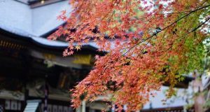 Mindfulness e Wabi Sabi no Museu do Oriente