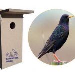 Vita Nativa instala 30 caixas ninho na cidade de Faro