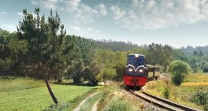 Novas viagens do Comboio Histórico do Vouga