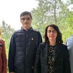 Cientistas portugueses criam verniz que mata bactérias