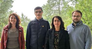 Cientistas portugueses criam verniz que mata bactérias