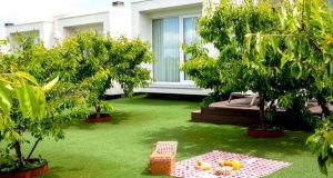 Tempo de cerejas e de natureza no Cerca Design House
