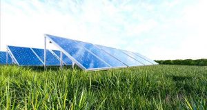 Palmela aprova Central Fotovoltaica no Poceirão