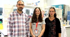 Novo mecanismo da infeção pela bactéria Salmonella