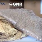 GNR desmantela rede dedicada ao tráfico de tabaco