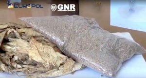 GNR desmantela rede dedicada ao tráfico de tabaco