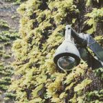 Autorizada instalação de videovigilância em Santarém