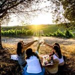 O Évora Hotel promove a Rota dos Vinhos do Alentejo
