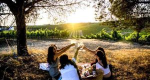 O Évora Hotel promove a Rota dos Vinhos do Alentejo