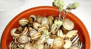 Festival do Caracol em Castro Marim / Algarve