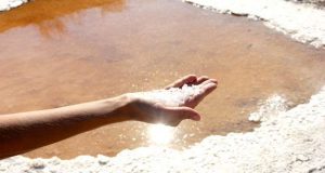 Castro Marim convida-o para um Fim de Tarde ao Sal