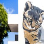 Cinco artistas dinamizam a Arte Urbana na Amadora