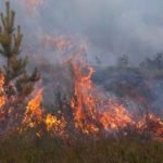 2021 regista o menor número de incêndios florestais