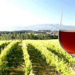 Fins de Semana Gastronómicos com aroma de Moscatel