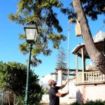 Alojamento Local para Aves em São Brás de Alportel