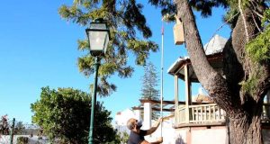 Alojamento Local para Aves em São Brás de Alportel