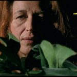 Madrugada estreia no Festival de Cinema de Roterdão