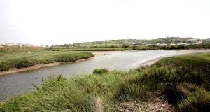 Versão final do Proposta de Plano do Paul de Lagos