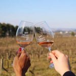 O amor está em qualquer recanto da Caminhos Cruzados