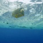 O que estamos a fazer aos nossos mares?