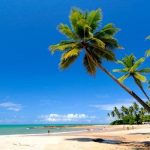 Turismo do Brasil alinha ações promocionais para a BTL