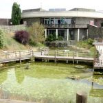 Apresentação dos primeiros resultados do projeto VESPRA