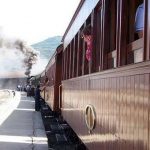 Edição especial do Comboio Histórico do Vouga