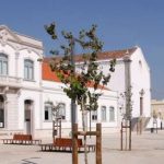 Festas com Livros em Junho nas Bibliotecas Municipais!