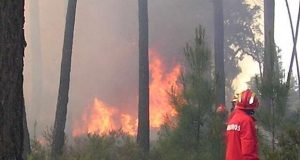 Situação de alerta face às previsões meteorológicas