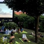 Cinema na Vinha na região dos Vinhos Verdes