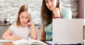 Queixas dirigidas ao Ministério da Educação