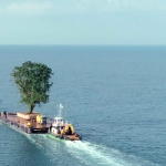 Festival de Cinema Ambiental da Serra da Estrela