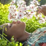 Novo Vídeo promocional Algarve Craft & Food