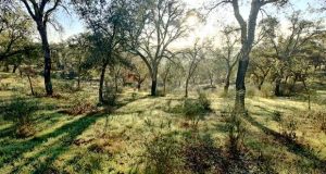 UC integra consórcio de monitorização do solo