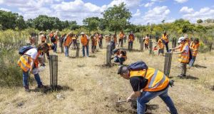 Semana de Voluntariado da Repsol